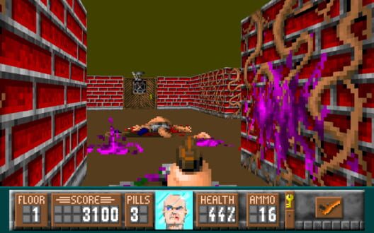 Oldfartenstein 3D screenshot 5