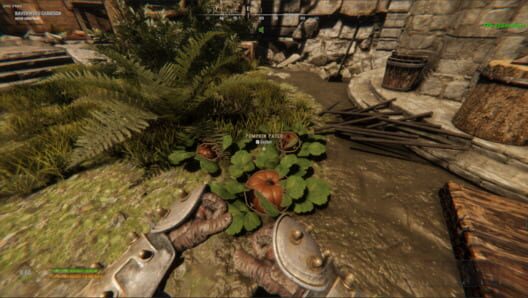 Lost Isle screenshot 5