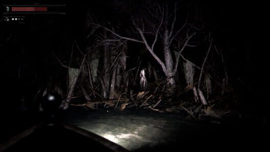 Drowned Lake screenshot 3