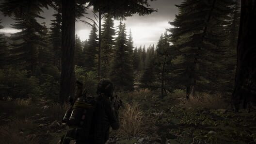 Tom Clancy's Ghost Recon: Wildlands screenshot 6