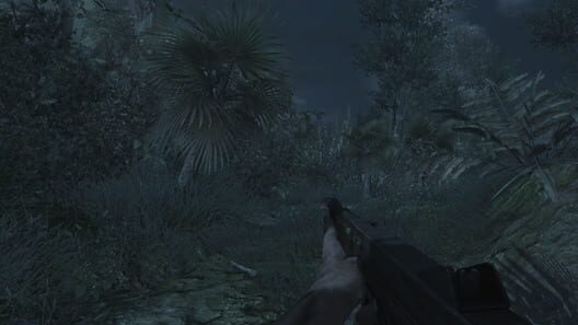 Call of Duty: World at War screenshot 4
