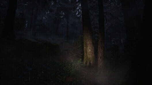 Whispers in the Fog screenshot 9