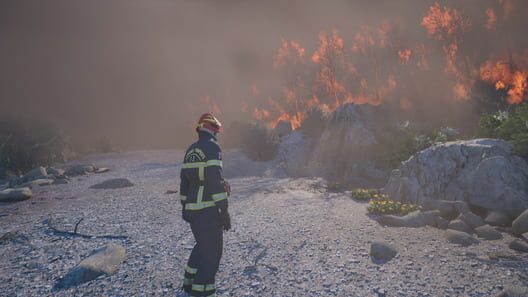 Rescue Ops: Wildfire screenshot 10