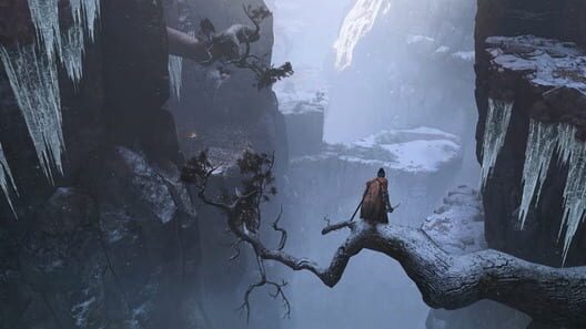 Sekiro: Shadows Die Twice screenshot 8