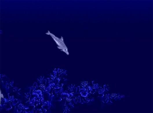 Ecco the Dolphin screenshot 3