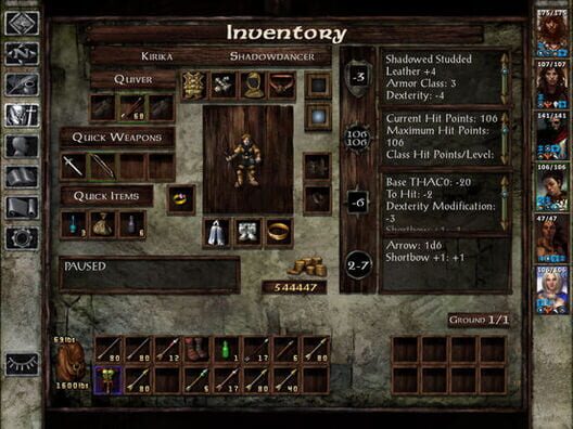 Icewind Dale screenshot 2
