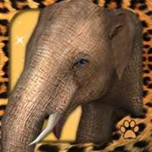 Virtual Pet Elephant cover