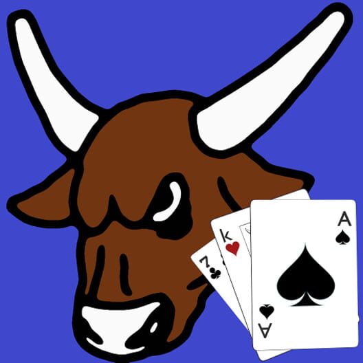 Rodeo Judge cover
