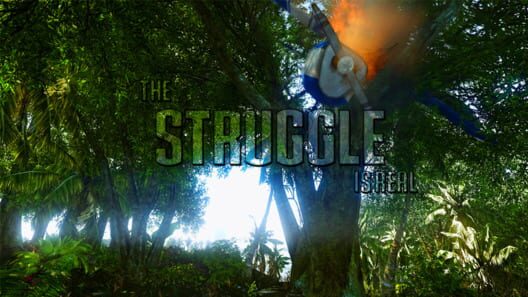 The Struggle cover