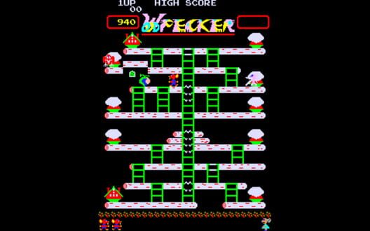 Woodpecker cover
