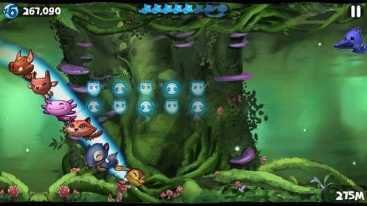Tanuki Forest cover