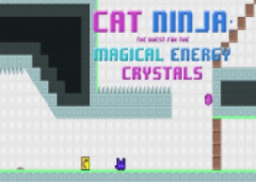 Cat Ninja: The Quest for Magic Energy Crystals cover