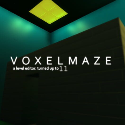 VoxelMaze cover