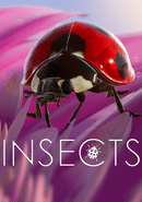 Insects: An Xbox One X Enhanced Experience
