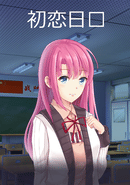 School Years