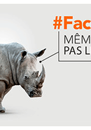 Face au train poster
