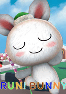 Run! Bunny