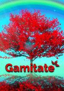 Gamitate the Meditation Game