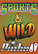 Sports & Wild Pinball poster