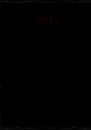13 Page