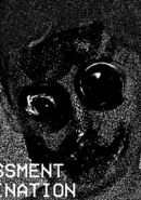 Assessment Examination