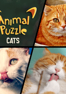 Animal Puzzle Cats