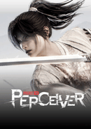 Project: The Perceiver