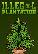 Illegal Plantation