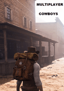 Multiplayer Cowboys