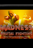 Madness Brutal Fighting poster