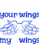 Your Wings My Wings