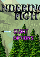 Wandering Fighter poster