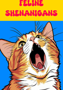 Feline Shenanigans