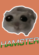 Hamster