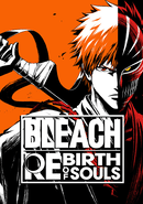 Bleach: Rebirth of Souls poster