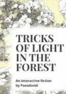 Tricks of Light in the Forest poster