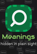 Meanings: Hidden in Plain Sight poster