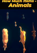 How Much Items: Animals poster