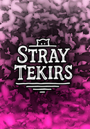 Stray Tekirs poster