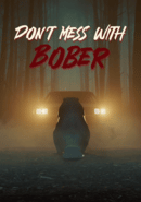 Don't Mess With Bober poster
