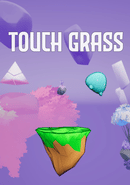Touch Grass poster