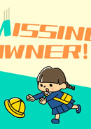Missing Owner!