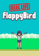 Real Life Flappy Bird poster