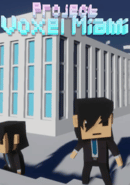 Project Voxel Miami poster
