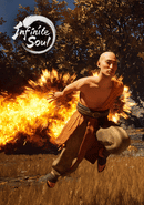 Infinite Soul poster