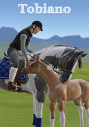 Tobiano poster