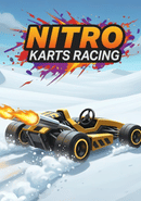 Nitro Karts Racing poster