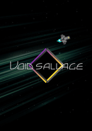 Void Salvage poster