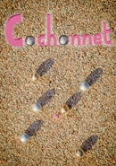Cochonnet