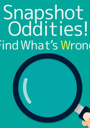 Snapshot Oddities! Find What's Wrong